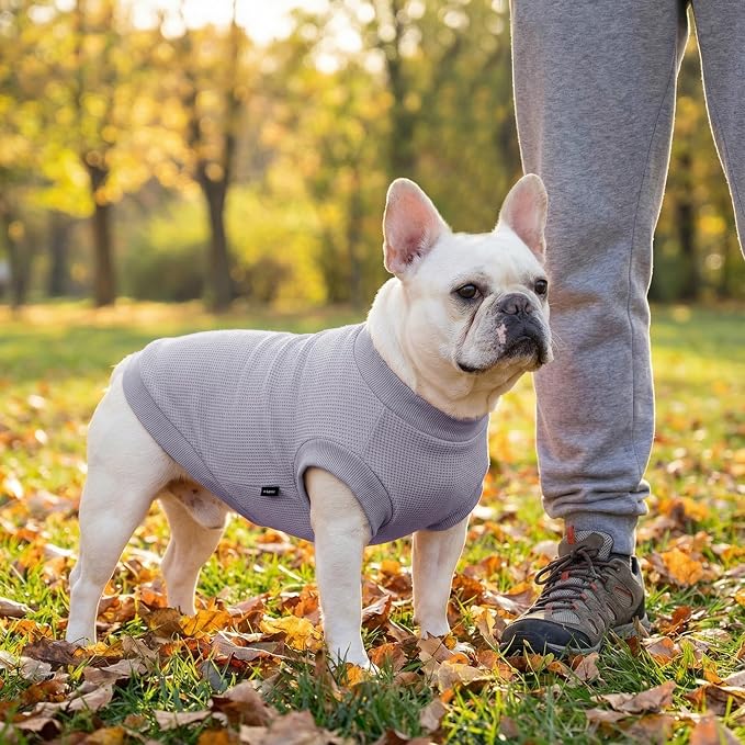 3 Pack Dog Shirt for Small Supplies Functional Waffle Dog Clothes Warm Soft Sweatshirt Outfit for Dogs Cats Pet Apparel