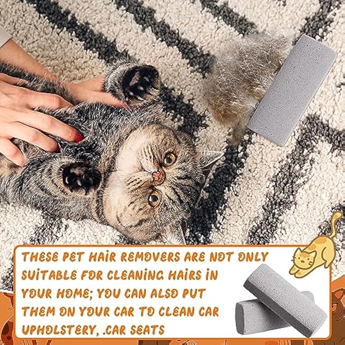 Abbylike 6 Pcs Pet Hair Remover Pumice Stone Reusable Portable Dog Cat Hair Removal Tool Scraper for Carpet,Couch, Bedding, Car Upholstery, Furniture Cleaning (6.1 x 2.56 x 1.4 Inch,Gray)