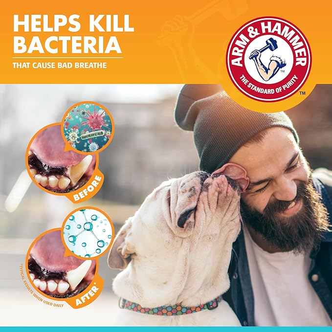 Arm & Hammer for Pets Dog Oral Care Spray, Mint Flavor Breath Freshener & Teeth Cleaning, Baking Soda Enhanced Plaque & Tartar Support, Easy Brushless Dental Care for Adult Dogs, 4 Fl Oz - 24 Pack