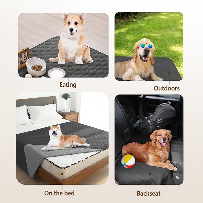 gogobunny Waterproof Blanket, Couch Covers for Dogs, Reversible Protector | 3X Stronger Leakproof, Scratch Proof Durable Furniture Protection, Stain Resistant, Washable, 30x70 Inch Dark/Light Charcoal