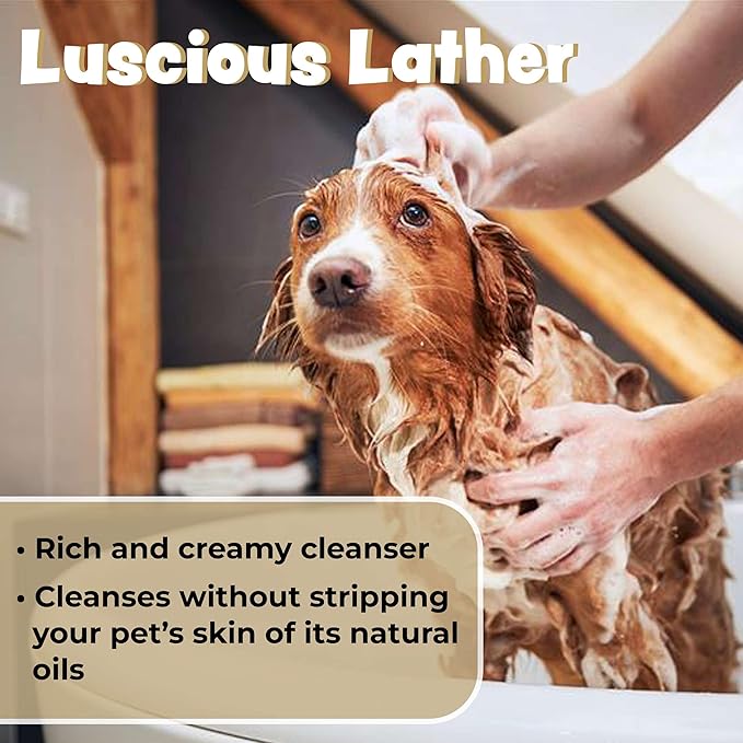 Oatmeal Dog Shampoo for Itchy Skin, 1 Gallon with Pump - Hypoallergenic Anti-Itch Allergy & Sensitive Skin Relief, Moisturizing Aloe Vera Coconut Oil, Sulfate & Paraben Free, Made in USA, Bark & Clean