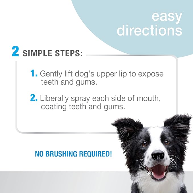 Nylabone Advanced Oral Care Pet Dental Spray, Liquid Tartar Remover & Breath Freshener for Dogs, Dog Teeth-Cleaning, 4 oz.