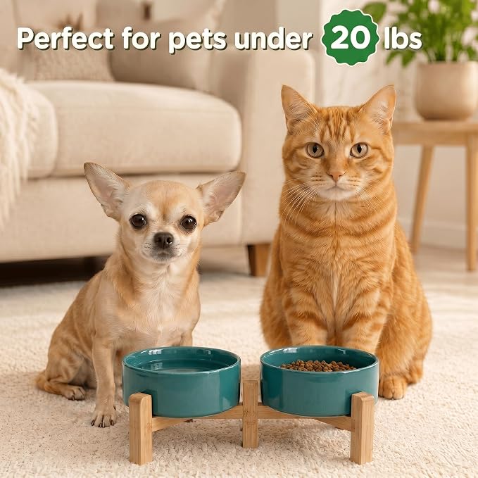 SPUNKYJUNKY Elevated Dog Bowls Ceramic, 5.1'' Dogs and Cat Food Water Bowls Raised with Non-Slip Bamboo Stand for Puppy Small Sized Breed Microwave Dishwasher Safe - 13.5 OZ,Dark Green