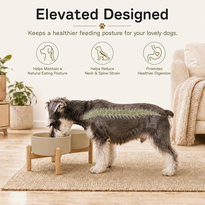 Havniva Ceramic Dog Bowls Elevated, Raised Dog Food Bowl for Small Dogs | 6.1” Elevated Dog Bowls, Non-Slip Wood Stand, Dog Food and Water Bowl Set, Dog Feeding Dish, Large Capacity Pet Water Bowl