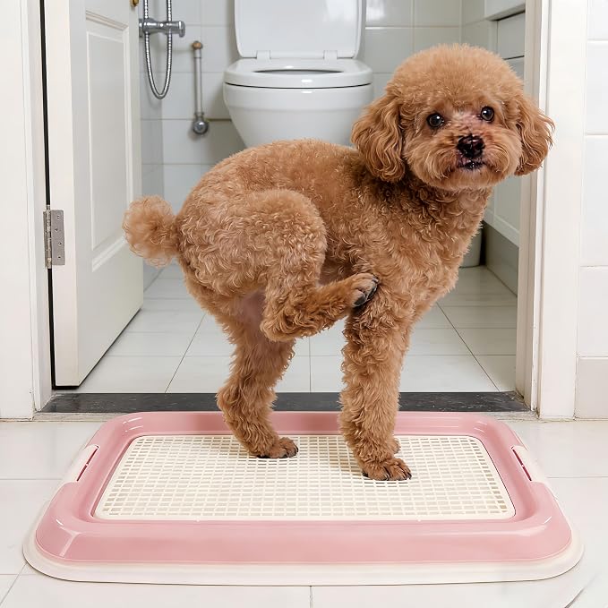 Dog Potty Tray for Small Dogs, Puppy Potty Training Tray 19.7"x14.5" Indoor Dog Toilet, Leak-Proof Pet Pads Holder (Pink)
