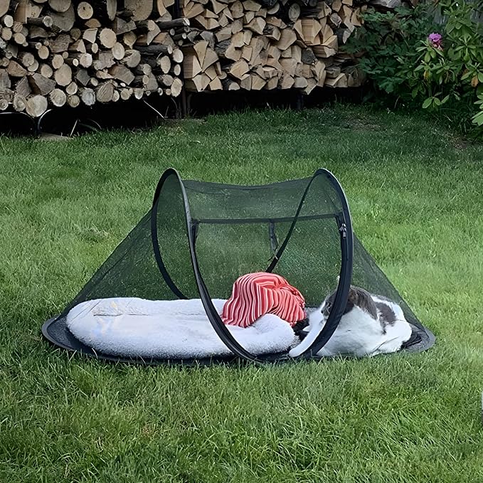 Cat Tent Outdoor, Pet Enclosure Tent Suitable for Cats and Small Animals, Indoor Playpen Portable Exercise Tent with Carry Bag(Orange) | Pop Up Catio, Waterproof PE Base, Anti-Bug Mesh, Firm Steel Rods, Kitten Small Animal Travel Yard Gear, Carry Bag