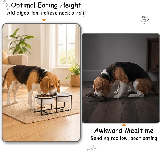 Ceramic Elevated Dog Bowl Set - Raised Food and Water Bowls with Metal Stand - Double Pet Dishes for Small and Medium Dogs - 3 Cups - 24.3 fl oz - Matte White