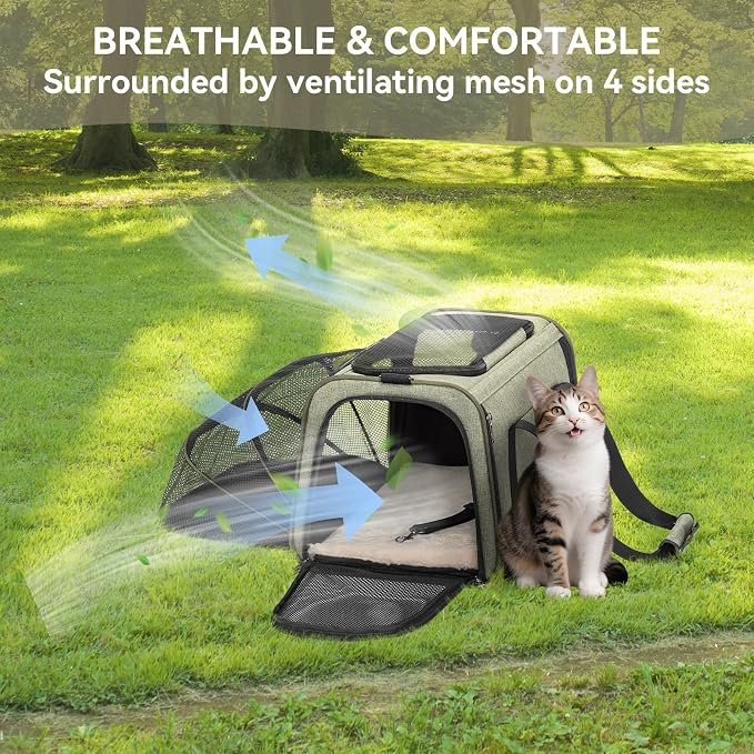 Petsfit Small Expandable Cat Carrier for Air Travel, Up to 9 lb | 16 x 10 x 9 in; sized for Alaska Airlines, with locking zippers, an interior safety tether and multi-side ventilation.