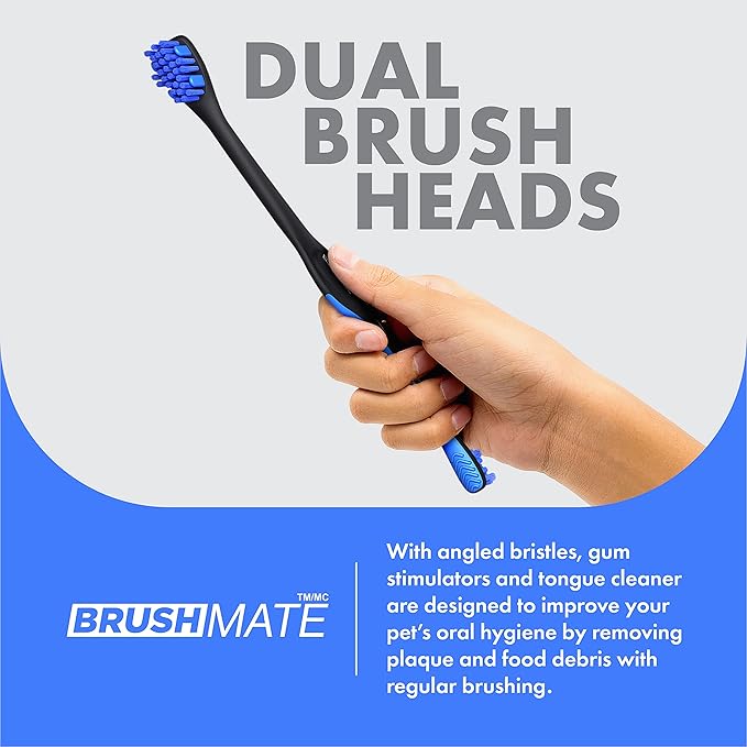 Paw Ready from Doggy Breath to Doggy Fresh Dog Dental Care Kit Includes Enzymatic Toothpaste for Dogs Plus BrushMate Dual Brush Head Toothbrush with Angled Bristles