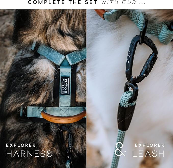 MADE TO ROAM Explorer Dog Collar | Heavy Duty Nylon & Durable Metal Buckle | Premium adjustable collar with rust-resistant hardware. Fits small to large dogs. 15 colors. Matching leash & harness