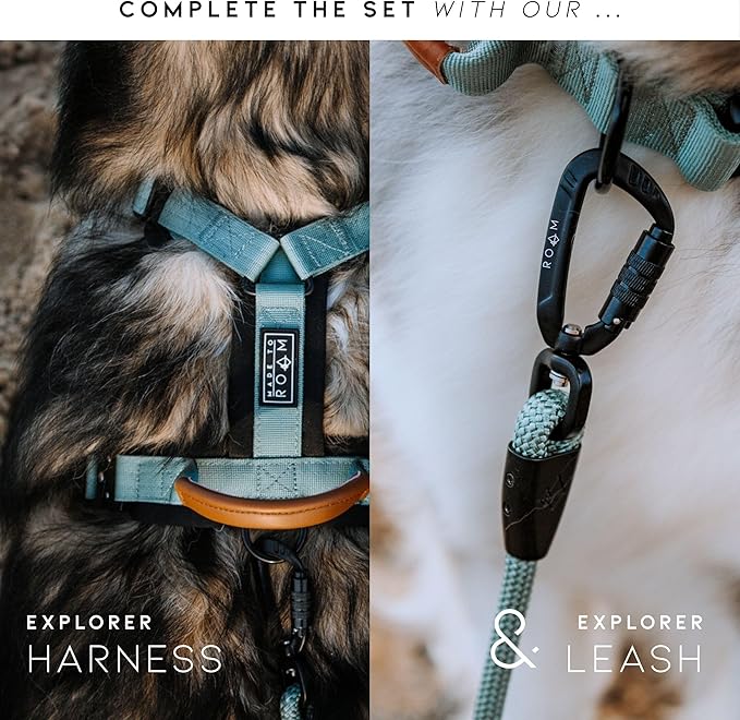 MADE TO ROAM Explorer Dog Collar | Heavy Duty Nylon & Durable Metal Buckle | Premium adjustable collar with rust-resistant hardware. Fits small to large dogs. 15 colors. Matching leash & harness