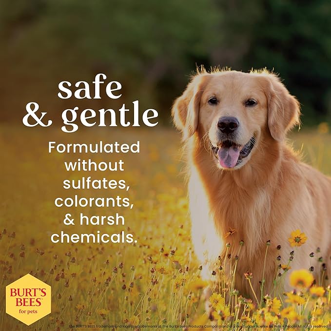 BURT'S BEES FOR PETS Calming Dog Shampoo with Lavender and Green Tea, 95% Natural Origin Formulas, Calming Lavender Dog Shampoo - Gentle Dog Shampoo, Best Dog Shampoo, Lavender, 32 oz