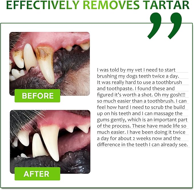 Petstoral Dental Care Wipes for Dogs and Cats, 50 Count, Teeth and Gum Cleaning, Plaque and Tartar Removal, Larger and Wider Version