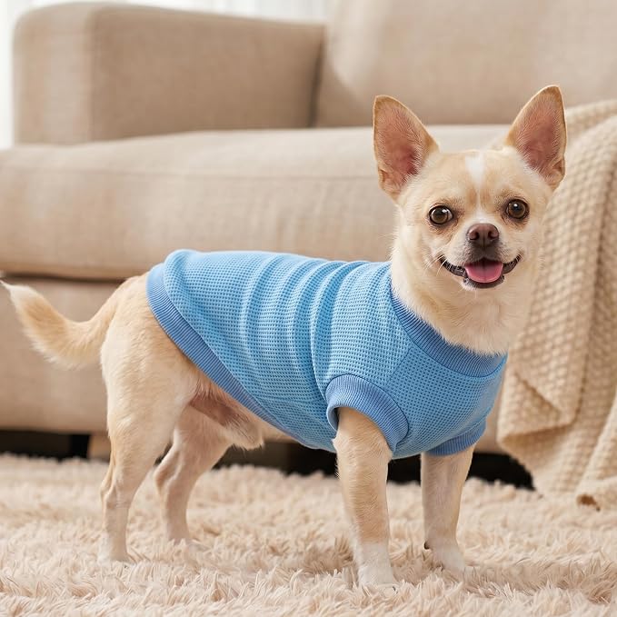 2 Pack Dog Shirt for Small Supplies Functional Waffle Dog Clothes Warm Soft Sweatshirt Outfit for Dogs Cats Pet Apparel