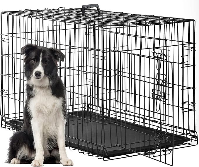 FDW | 48" Foldable Metal Dog Crate | Black | Cage for XL Dogs | Heavy Duty, Portable Wire Kennel with Double Door, Divider & Leak-Proof Tray | For Training, Home, Travel Indoor/Outdoor Use