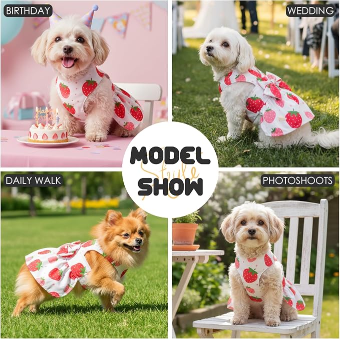 Dog Dress Harness Dresses Leash Set for Small Dogs Cute Girl Dog Clothes with Bowknot Puppy Outfits for Shih Tzu Yorkies Chihuahua