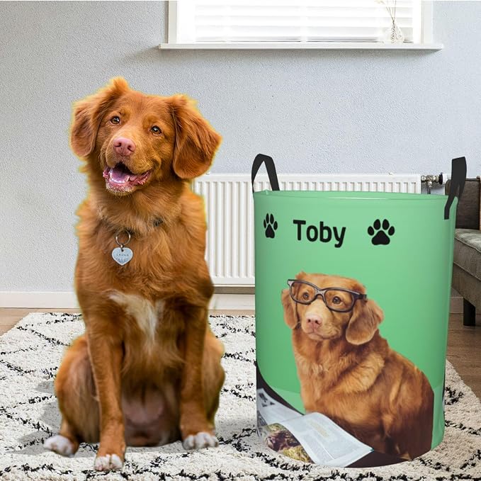 Personalized Large Dog Toy Storage Basket Bin Collapsible Custom Pet Stuff Box Chest Container for Living Room Organizer for Dog Toys,Dog Food,Blankets,Clothing (Mint)