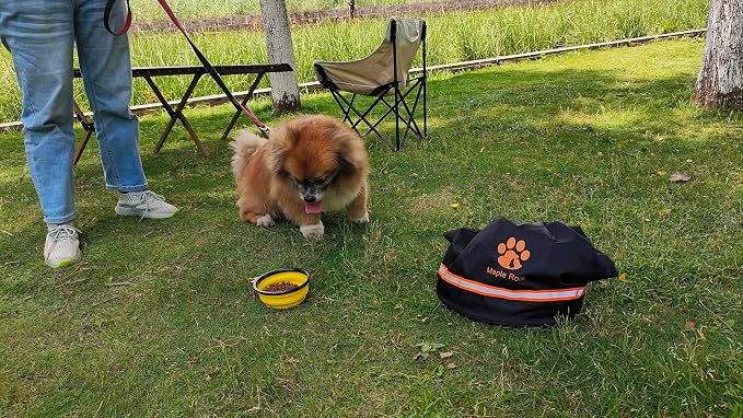 Dog Food Travel Bag - 84 Cups/26 lbs/20 Litre Capacity | Leak-Proof, Water-Resistant Dog Food Storage Container for Travel, Camping, RV & Outdoor | Collapsible, Easy-to-Clean Kibble Bag (Black)