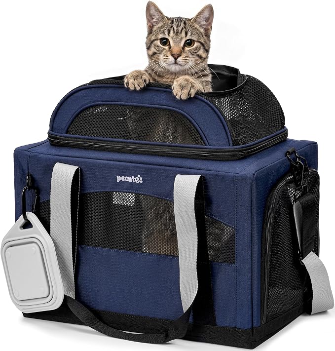 Pecute Cat Carrier, Top Expandable Dog Crate for Travel, Blue