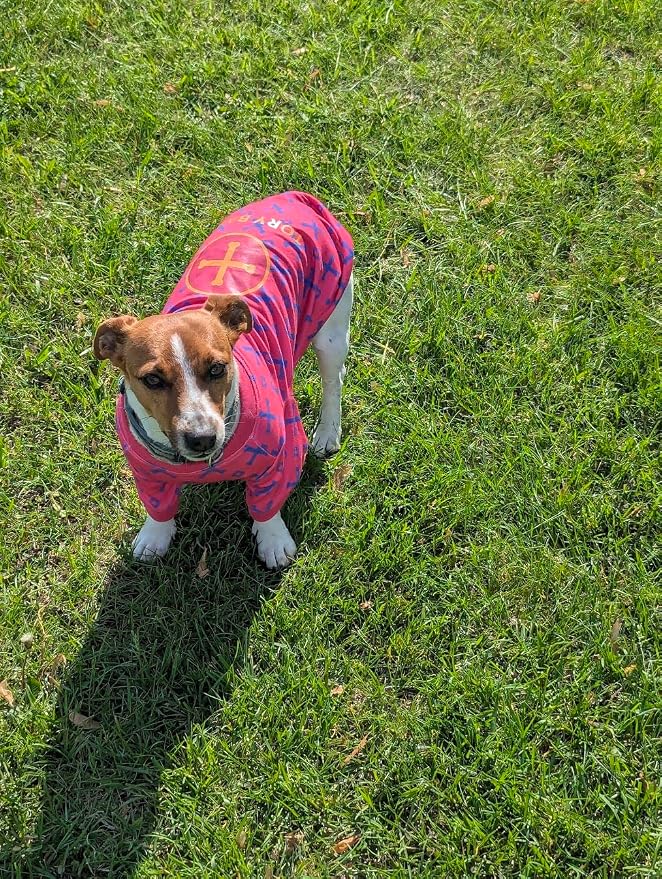 Dog T-Shirts for Small Dogs, Designer Dog Clothes, Luxury Lightweight Tee | Dog T-shirts for small dogs; soft lightweight designer dog clothes with luxury comfort for Chihuahuas, Yorkies and Dachshunds
