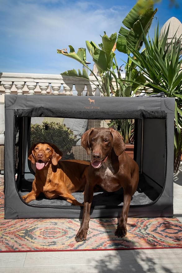 Noah & Paw Collapsible Dog Crate 36 Inches, XL Dog Crate for XL, Large Medium Breed, Travel Kennel for Car, Includes Pet Mat for Pet Cage, 2 Storage Pockets, Handbag, 10mm Locking Zippers 36*25*23