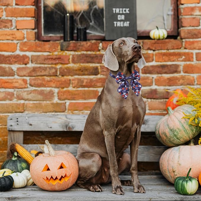 PET SHOW 10 Pack Halloween Sailor Dog Bowties for Large Dogs