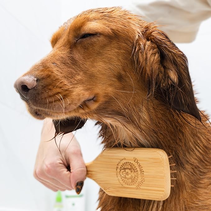 Large Bamboo Dog Grooming Brush for Medium & Large Dogs, Ergonomic Handle, Wooden Pin Bristles, Flexible Rubber Cushion, Sustainable Deshedding & Detangling
