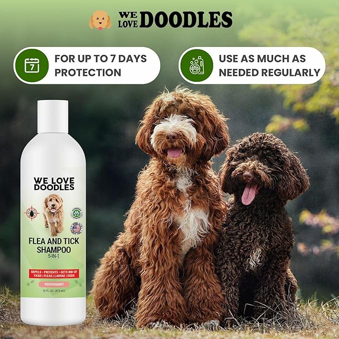 We Love Doodles Flea Shampoo for Dogs - Stops Fleas & Ticks for Dogs, Natural, Safe & Effective Lice Treatment, Soothing Shampoo for Sensitive Skin, Manufactured in USA, 16 oz