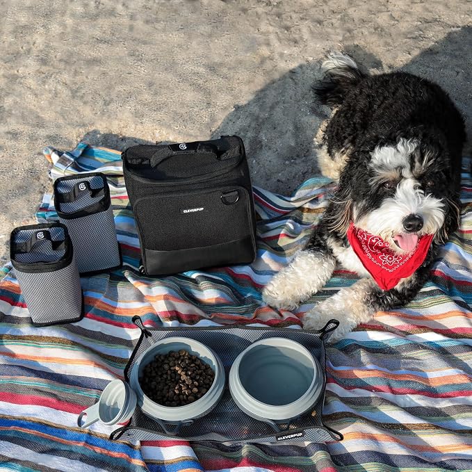 Large 7-Piece Bistro Box Dog Food Travel Kit, 12 Cup BPA-Free Kibble Storage, 2 Silicone Bowls, Mat & Scoop - Portable Pet Food Kit for Weekends, Overnights, Daycare & Camping, Graphite