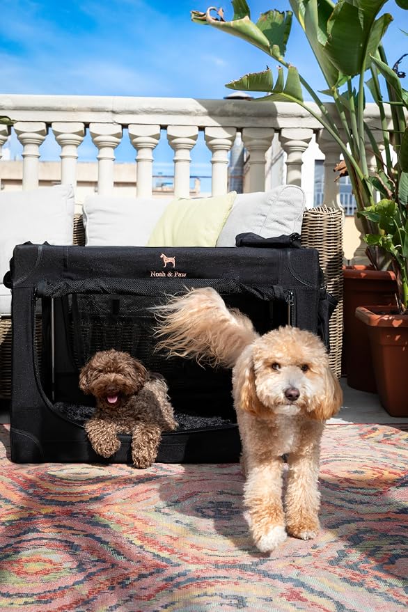 Noah & Paw Collapsible Dog Crate 30 Inches, Large Dog Crate for Large Medium Breeds, Travel Kennel for Car, Including Pet Mat for Pet Cage, 2 Storage Pockets, Handbag, 10mm Locking Zipper 30*21*21