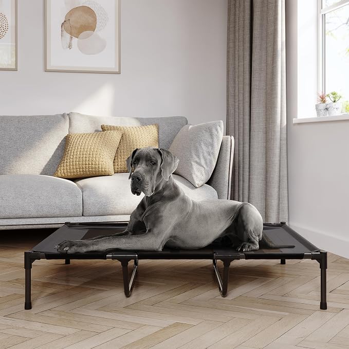 Elevated Dog Bed - 48x36-Inch Portable Pet Bed with Non-Slip Feet - Indoor/Outdoor Dog Cot or Puppy Bed for Pets up to 110lbs by PETMAKER (Black)