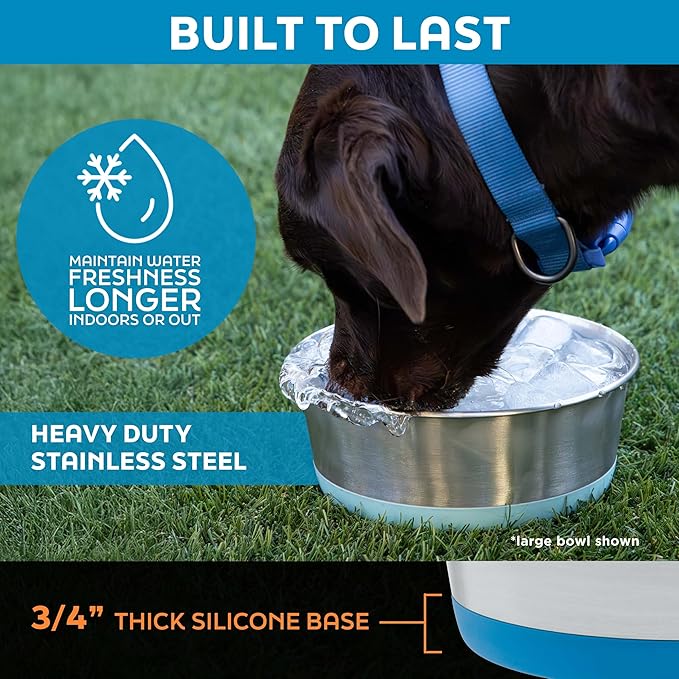 Master Pet Supply Stainless Steel Dog Bowls Set of 2 with Extra Thick Silicone Base - 4 Cup (32 oz) Hyper Pink, Non-Slip, Dishwasher Safe Metal Bowls, Pet Dog Food Bowl for Dogs, Cats, Anti Rust