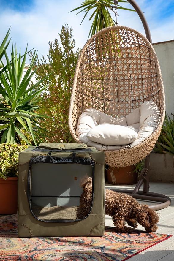 Noah & Paw Collapsible Dog Crate 30 Inches, Large Dog Crate for Large Medium Breeds, Travel Kennel for Car, Including Pet Mat for Pet Cage, 2 Storage Pockets, Handbag, 10mm Locking Zipper 30*21*21