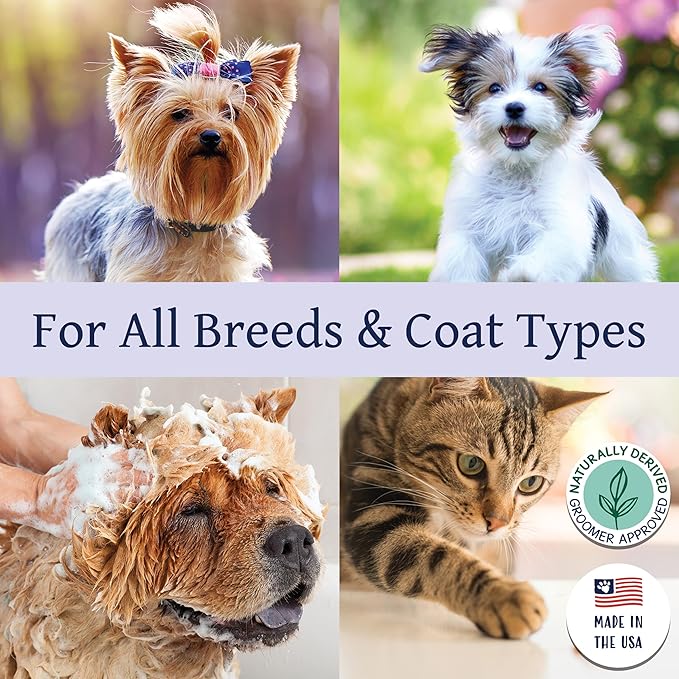 Bobbi Panter Hypoallergenic Dog Shampoo Honey, Aloe Vera, Chamomile & Rosemary – Dye & Fragrance Free Natural Formula for Sensitive & Allergy Skin, Tear-Free, 30:1 Concentrate, 1 Gallon (Case of 4)