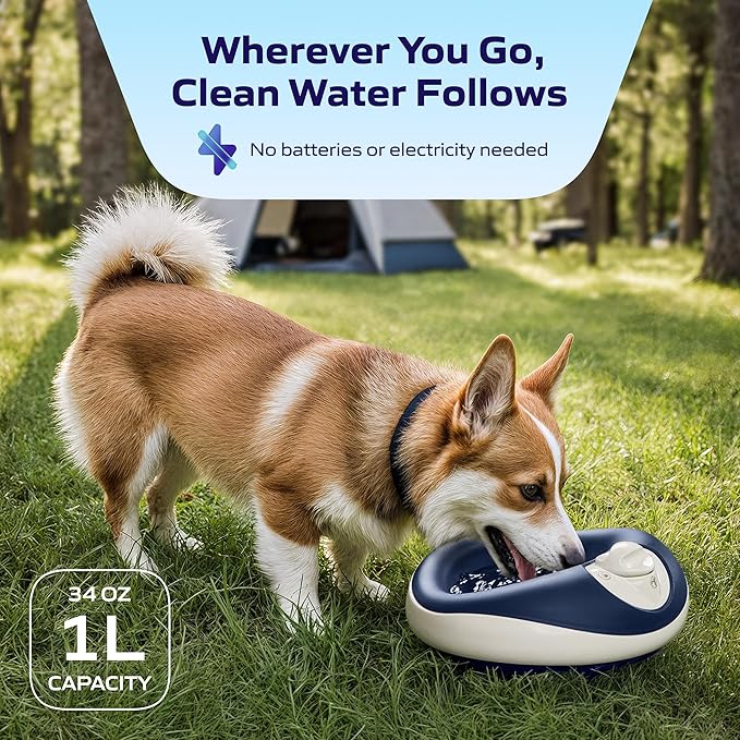 Mini Filtered Water Bowl for Cats & Small Dogs, 1L/34oz - No Power Needed, Auto-Refill, No Spill, Portable Travel Lock, Carbon Filter, BPA-Free, Puppies & Kittens