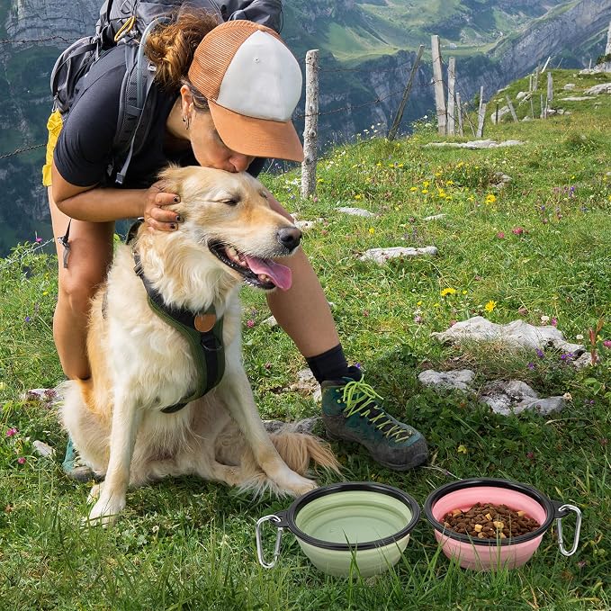 Large Dog Bowl Pet Collapsible Bowls, 2 Pack Collapsible Dog Water Bowls for Cat Dogs Portable Pet Feeding Water Dish for Walking Parking Traveling with 2 Carabiners (Large, Fairy pink & Sprout Green)