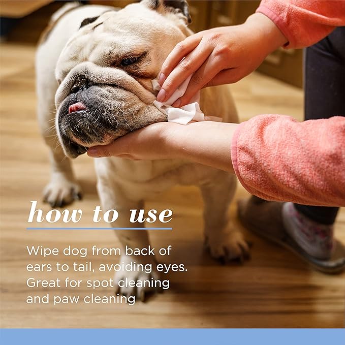 Burt’s Bees for Pets Gentle Cleansing Puppy Wipes with Buttermilk - Hypoallergenic, 98% Natural Origin Wipes That Gently Cleanse and Condition, Safe Formula, 50 Count