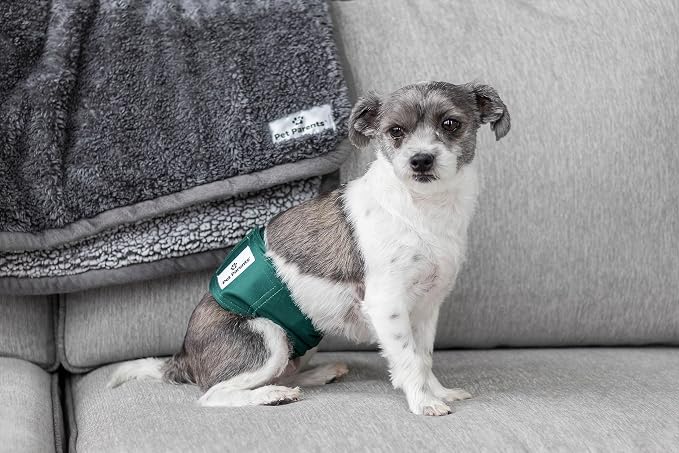 Pet Parents® Washable Belly Bands for Male Dogs (3pack) + Extendrs® of Durable Dog Diapers Male, Premium Male Dog Diapers & Dog Wraps (Large, Spruce)