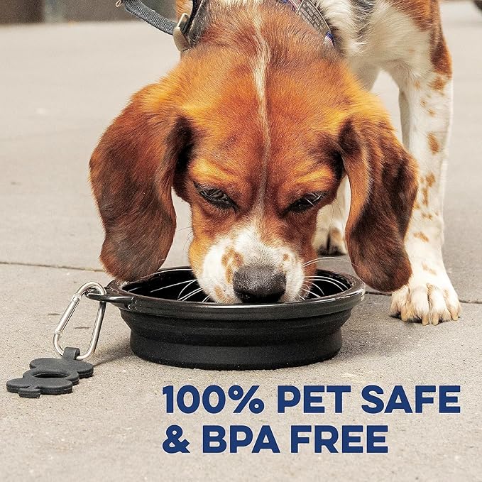 Bonza Collapsible Dog Bowls - 2 Pack, Small 12 oz, Dog Travel Accessories, Silicone Portable Dogs Bowl & Water Dish with Reinforced Rim & Carabiner for Hiking, Camping, and Car Trips, Navy Blue