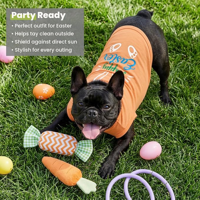 Fitwarm Happy Easter Bunny Dog Shirt, Easter Dog Clothes for Small Dogs Boy Girl, Cute Pet Outfit, Green, Blue, White, Orange, Small