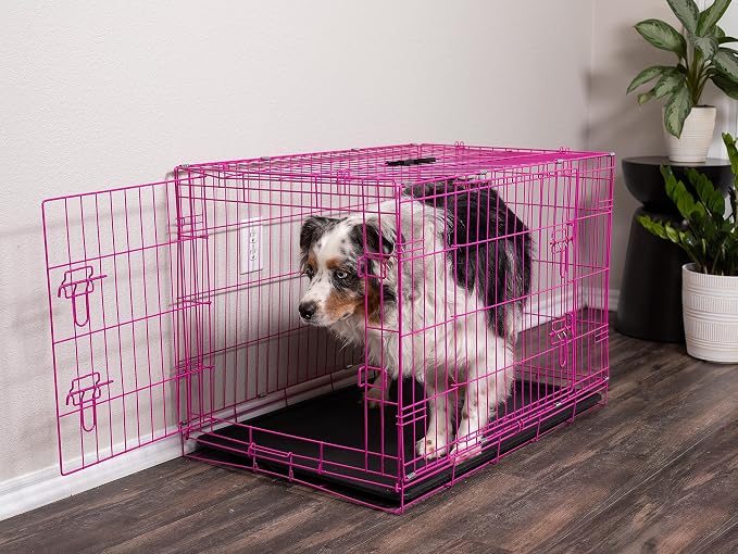 Internet's Best Wire Dog Crate for Dogs - Double Door Metal Steel Crate, Indoor Folding & Collapsible Cage, Secure & Durable, Portable Travel Kennel, Ideal for Home Use - Pink, 36 Inches