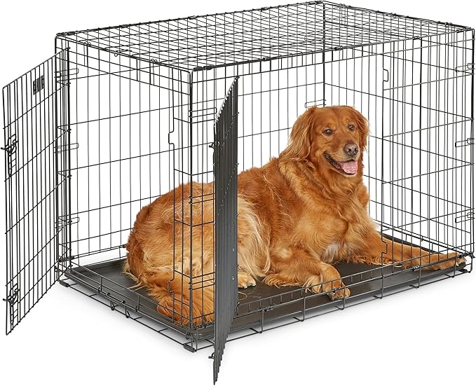 Midwest 42-Inch Double Door iCrate, for Large Breeds, 71-90 lbs