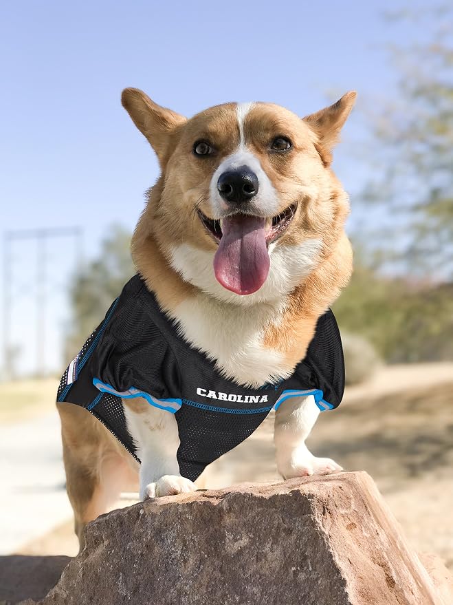 NFL CAROLINA PANTHERS DOG Jersey, Large, CAR-4006-LG