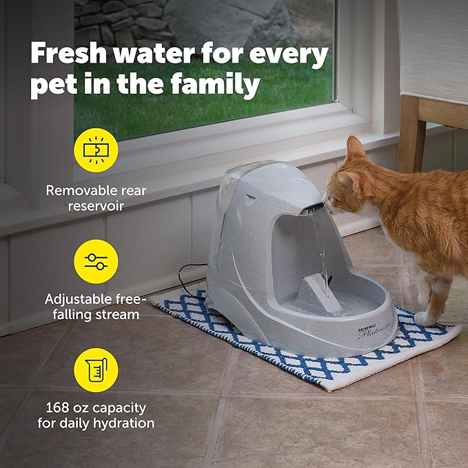 PetSafe Drinkwell Platinum Cat Water Fountain - Pet Fountain for All Pet Sizes, Encourages More Drinking, Includes Extra 3-Pack Replacement Carbon Filters, Indoor Use, Grey (168 oz/5L)