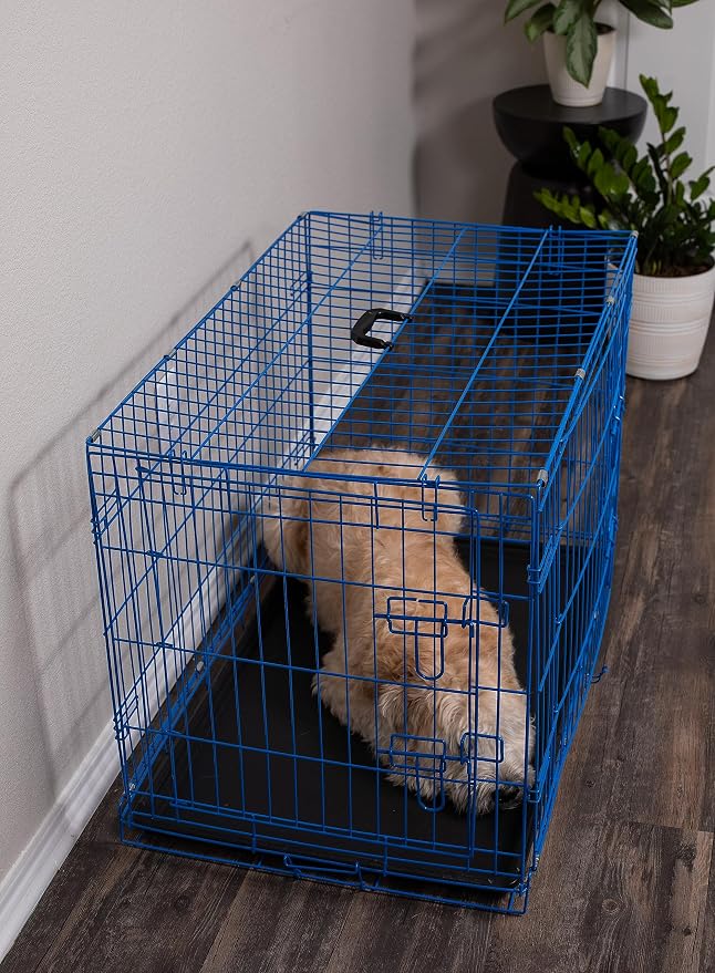 Internet's Best Wire Dog Kennel | Medium (36 Inches) | Double Door Metal Steel Crates | Indoor Outdoor Pet Home | Folding and Collapsible Cage | Blue