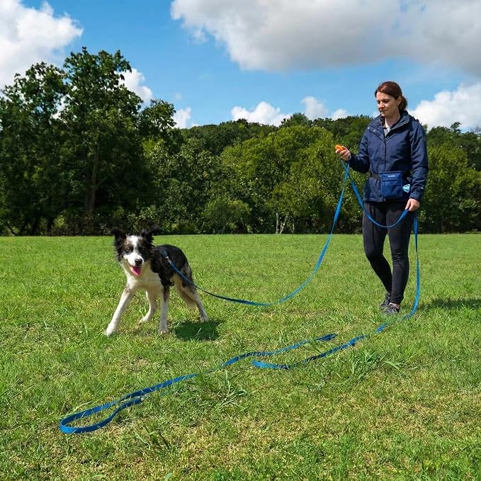 Dog Training Kit & Puppy Starter Set with 30ft Long Leash – Complete Recall System w/Magnetic Treat Pouch, Clicker, Collapsible Bowl & Waste Bags – Professional Tools (Navy Blue)