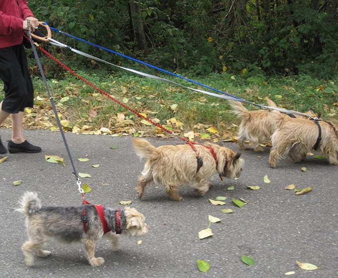 3-Way Dog Leash Handle, 3 Leads Holder for Walking Multiple Dogs. Undo Leash Tangles in Seconds While Walking.