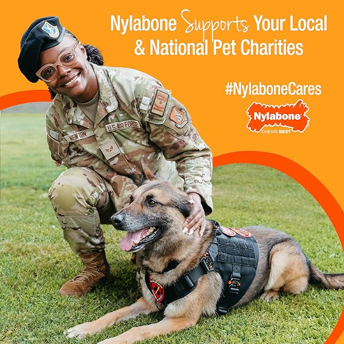 Nylabone New Puppy Starter Kit, Chew Toys & Natural Chew Treat for Puppies, Puppy Enrichment Teething Toys, Blue, Long Lasting Chicken & Bacon Flavor, Small Dogs - Up to 25 Ibs, 3 Pack