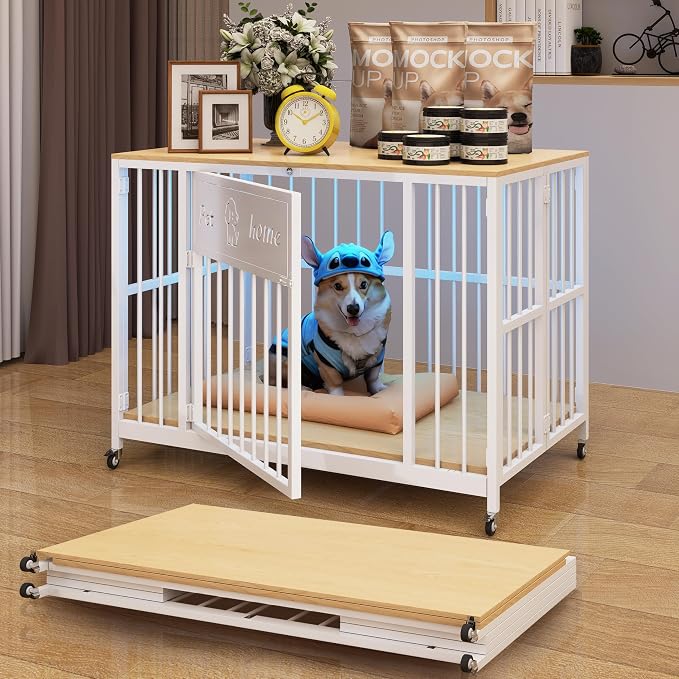 31.5" Foldable Dog Crate Furniture for Small Medium Dogs | Wooden Construction, RGB Ceiling Lights, Silent Casters, Natural Wood Tabletop, Multi-Purpose End Table TV Stand