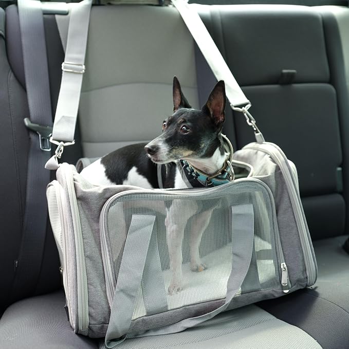 Jokari Cart Cruiser Airline Approved Pet Carrier for Versatile Travel | Versatile Travel in Car, Airplane, or Shopping Cart. Light, Anti-Scratch Mesh, Top, Side Open, Approved By Most U